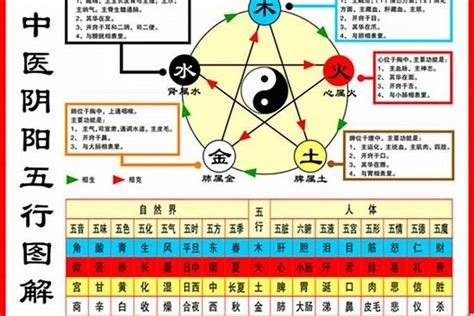 1984五行屬什麼|【84年次五行】1984年次五行屬什麼？屬鼠命運分析